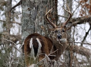 Rice Road Rice Rd S LOT 12, Elma, NY 14059