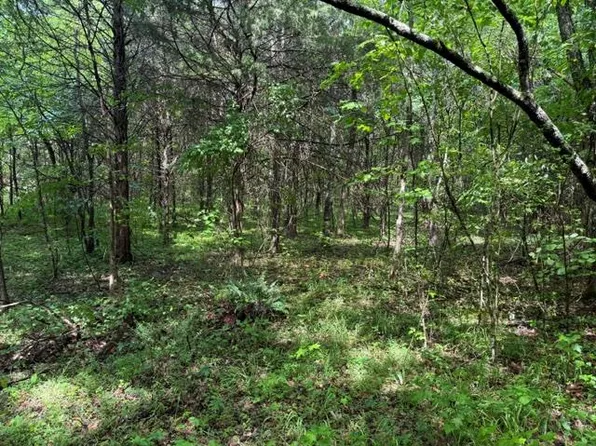 3 Freeze Rd, Morrison, TN 37357