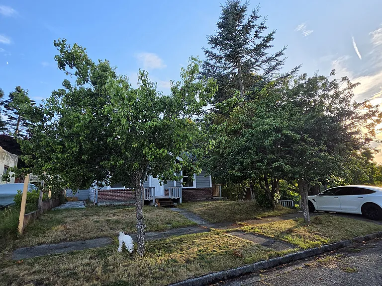 312 W 3rd St — Photo 13