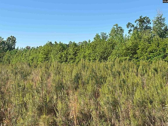 4th image of 0 Texas Park Rd