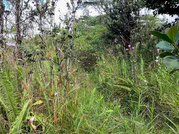 7th Ave Lot 2141, Keaau, HI 96749