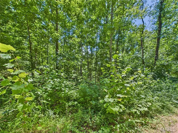 333 Crestwood Dr, Wappapello, MO 63966