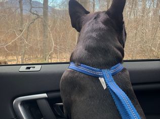 Lot 1 Donald #1, Manchester Center, VT 05255