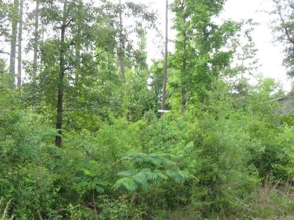 0 E Sunnybrook Rd Lot 1395-1396-1398, Carriere, MS 39426