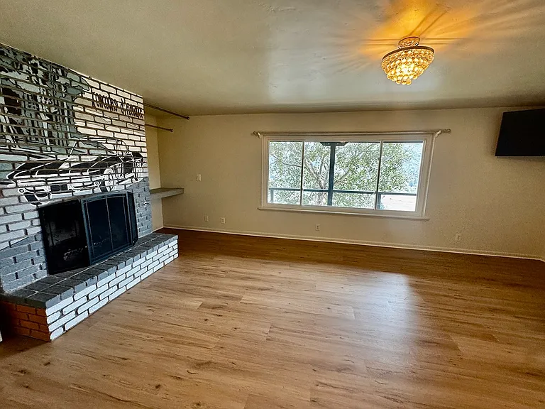 Primary bedroom with fireplace, lower level.