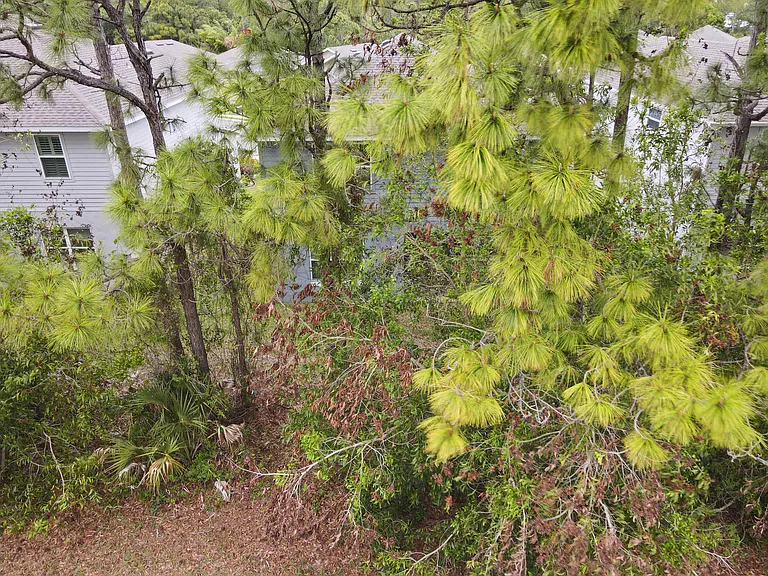 692 NE Turtleback Trl — Photo 68