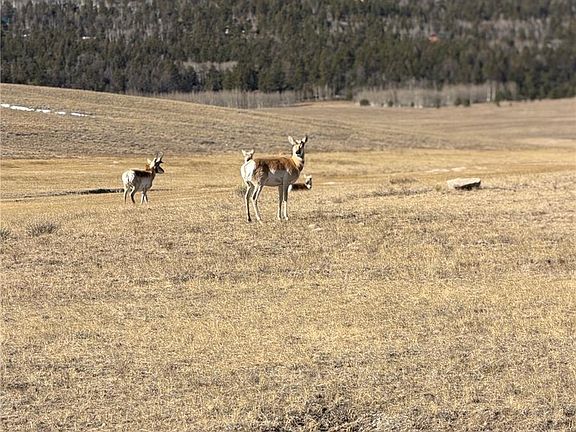 5th image of 3 Ranch LOT 3