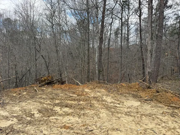 8 Stearns Hollow Rd #2, Monticello, KY 42633