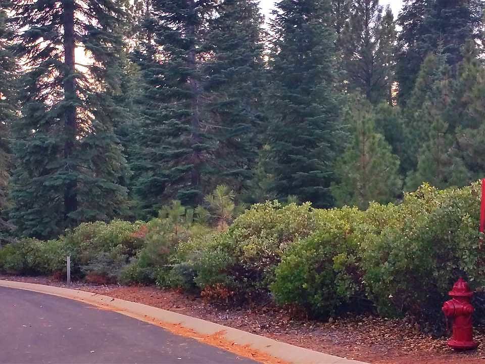 1st image of 6 Fox Peak Dr