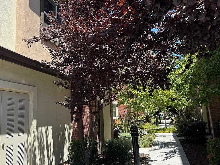 1026 Abruzzo Ln #1 — Photo 21