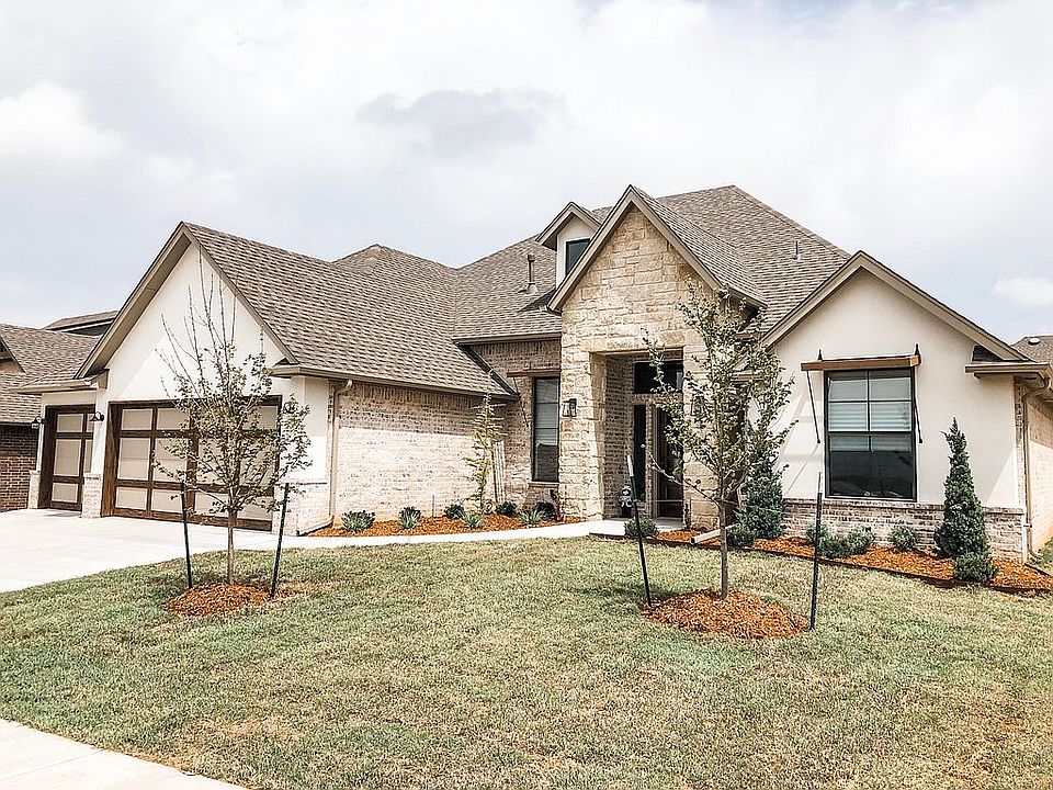 Maple Trees + trees in back