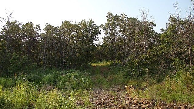 Feels like the country!