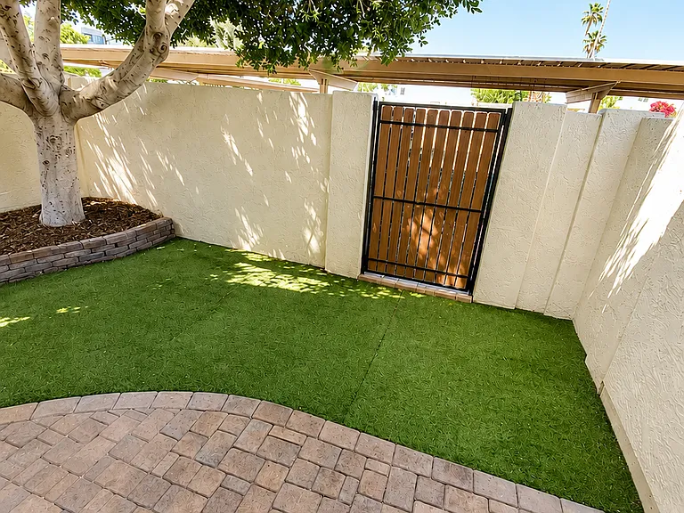 Backyard Patio Space