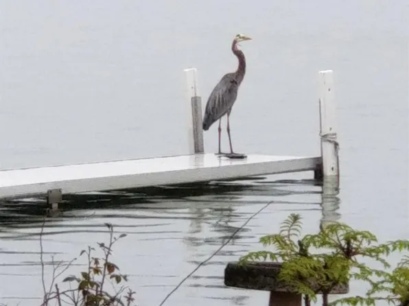 9444 Main St, Whitmore Lake, MI 48189