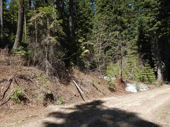 1601 Bear Trail Loop, Cascade, ID 83611