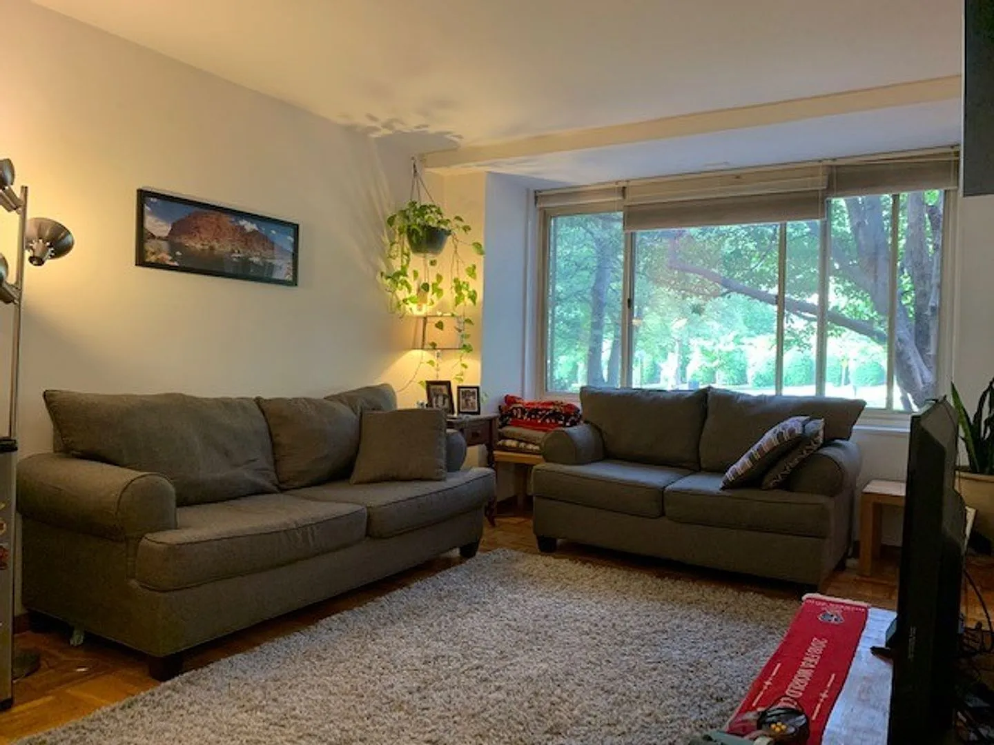 Charming and Sunlit 1 BD, 1 BA with Main Level Walk-in in Glover Park, NW DC!! Utilities Included — Photo 2