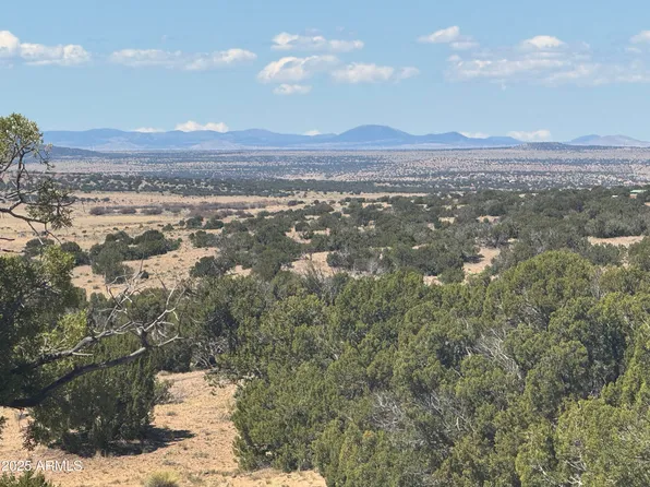 Lot 752 Woodland Valley Ranch -- #752, St Johns, AZ 85936