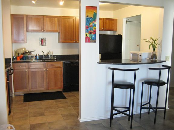 4th image of 1250 N La Salle Dr APT 1610
