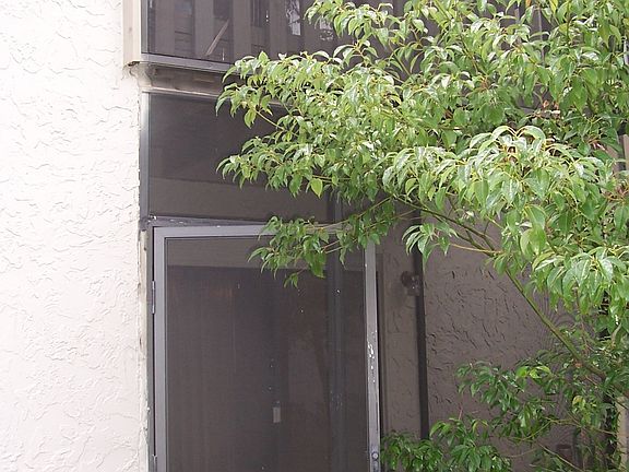 back patio