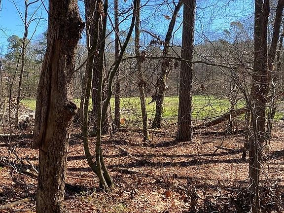 4th image of 7 SE Bates Pike