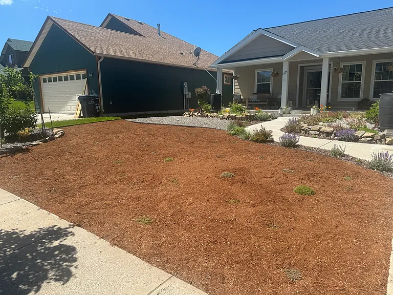 Front yard