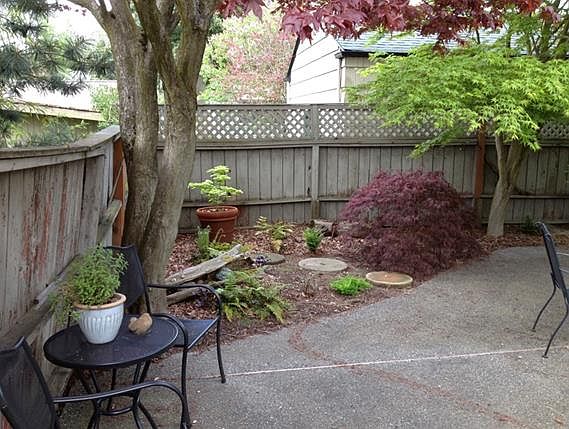 Japanese maples throughout the backyard with plenty of space for entertaining or relaxing
