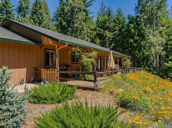 26845 Spring Ct, Pioneer, CA 95666