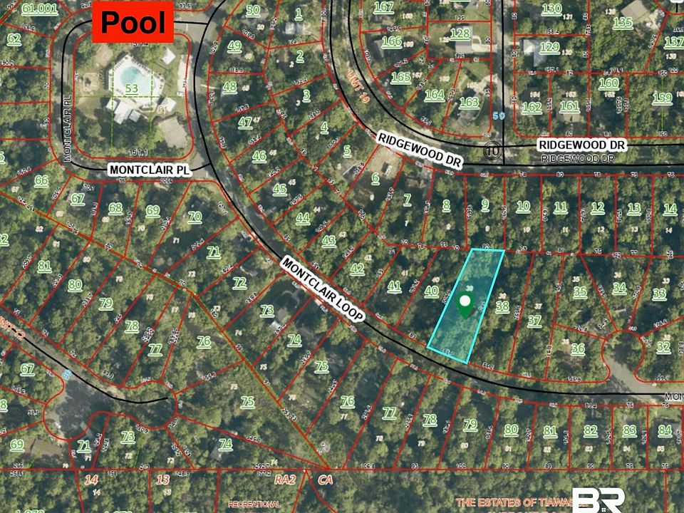 2nd image of 225 Montclair Loop