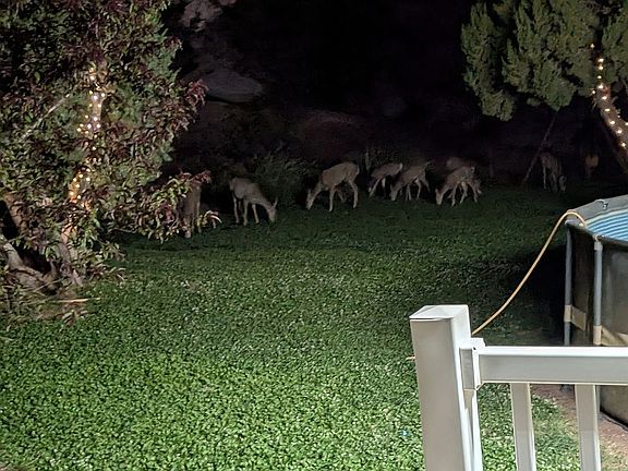 3rd image of 4080 Black Mesa Valley Rd