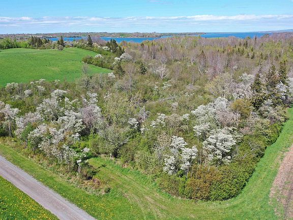 3rd image of 13.7 Acres