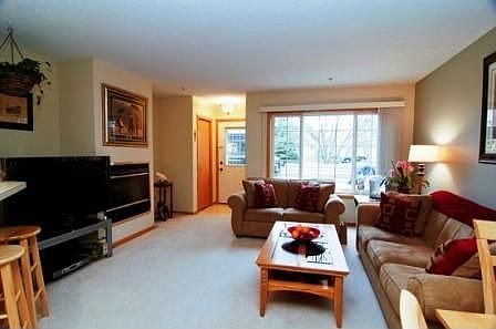 Sun-drenched living rm