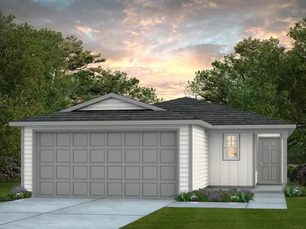 Adams Plan, Dove Song