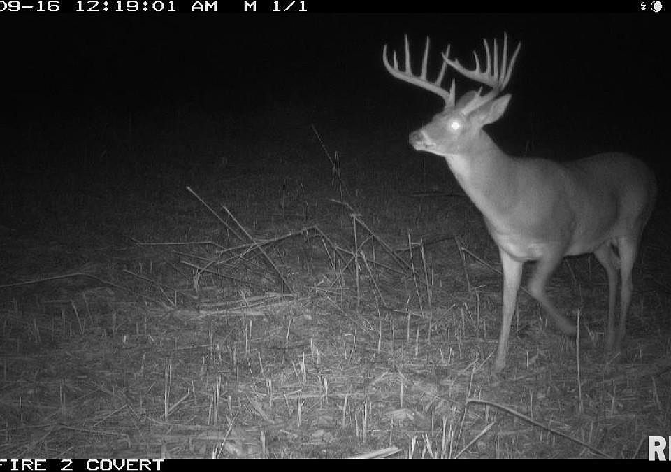 1st image of 0 Goodman Pond Rd