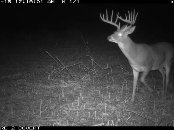 0 Goodman Pond Rd, Dongola, IL 62926