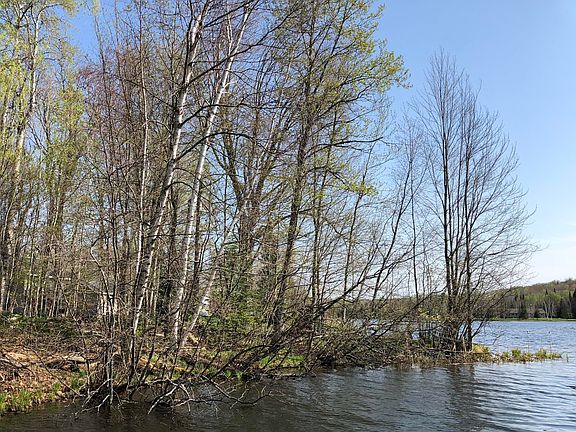 3rd image of 15644 Island Dr