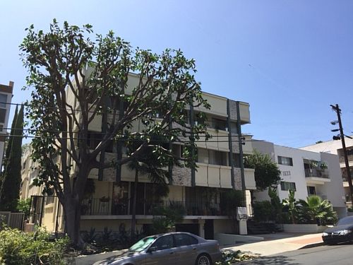 1st image of 1627 N Poinsettia Pl APT 19