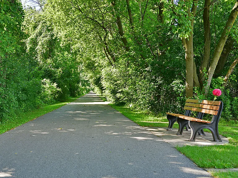 Walking Trail