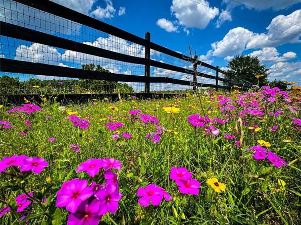 2009 SW Wilson Springs Rd, Fort White, FL 32038