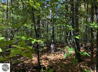 Shanty Creek Rd, Bellaire, MI 49615