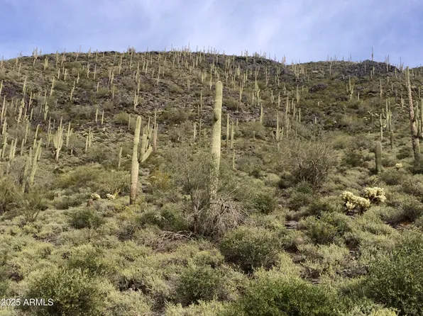 62XX E Carriage Drive #-, Cave Creek, AZ 85331