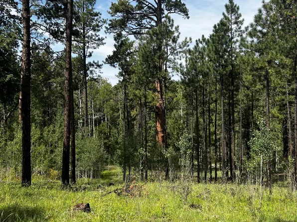 4 N 1063rd, Greer, AZ 85927