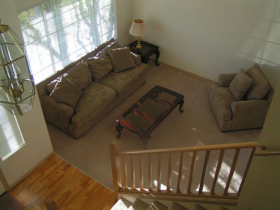 Vaulted Living room ceilings