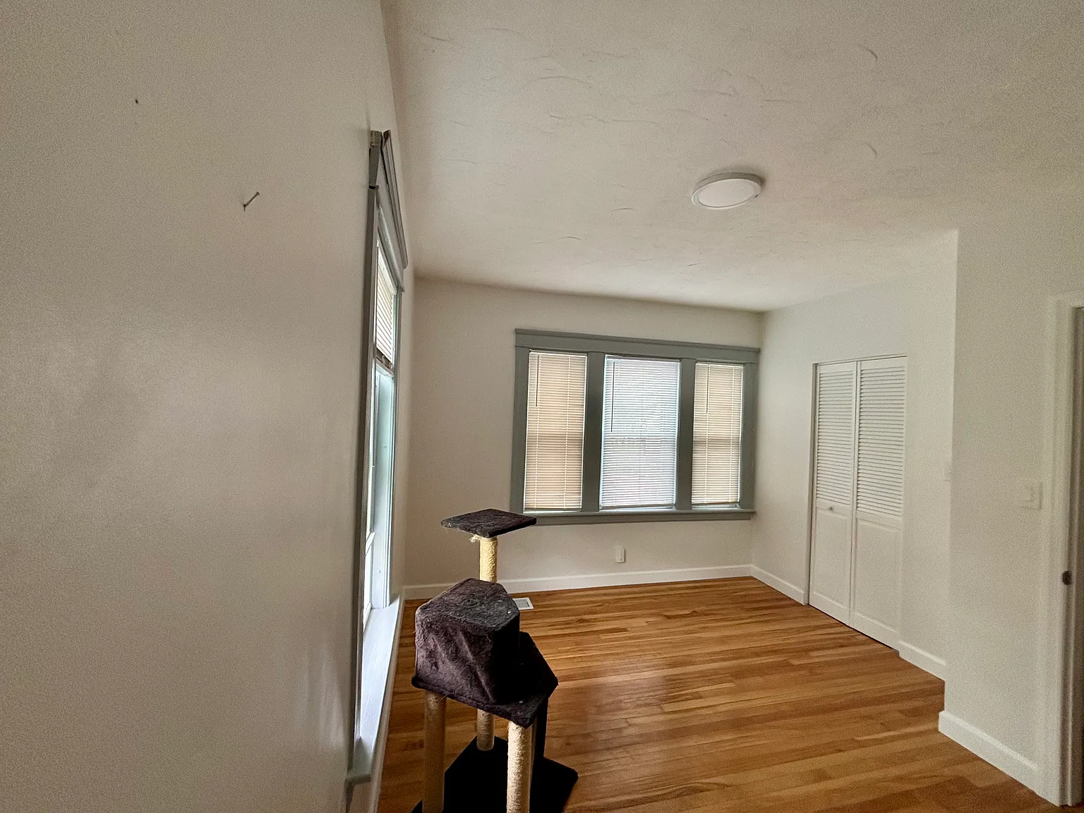 8 Enid St — Photo 1