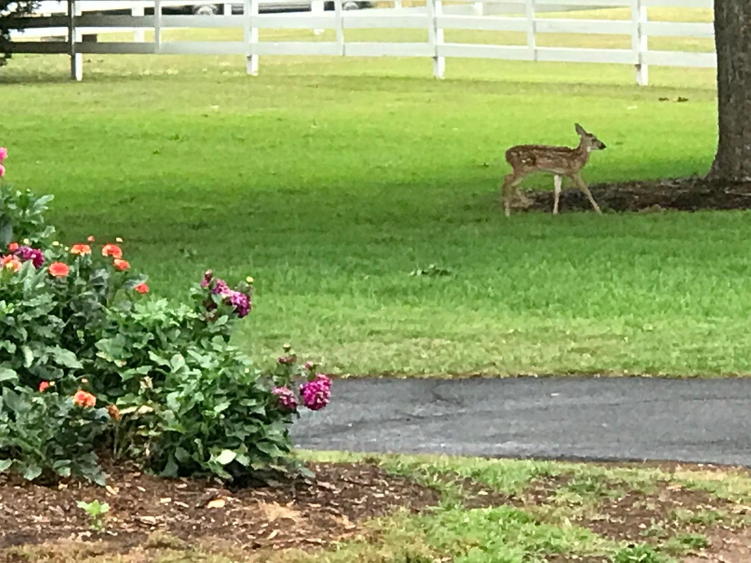 1225 Whit Davis Rd, Athens, GA 30605 Zillow