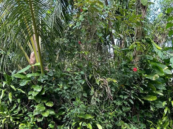 Opihi St Lot 3, Pahoa, HI 96778