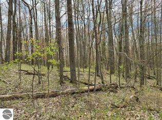 0 Bern Dr, Reed City, MI 49677