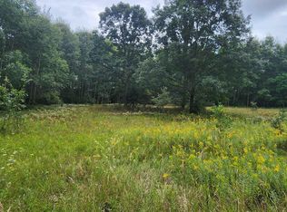 PARCEL River Rd #C, Manistee, MI 49660