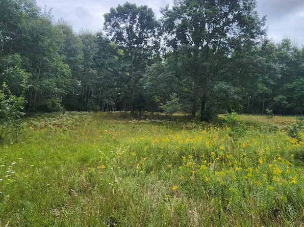 PARCEL River Rd #C, Manistee, MI 49660