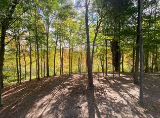 3435 Clearbrook Ct #V/l, Saugatuck, MI 49453