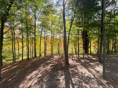 3435 Clearbrook Ct #V/l, Saugatuck, MI, 49453